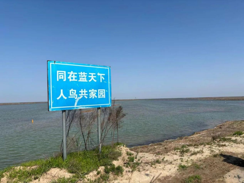 011769918560834332_副本.png